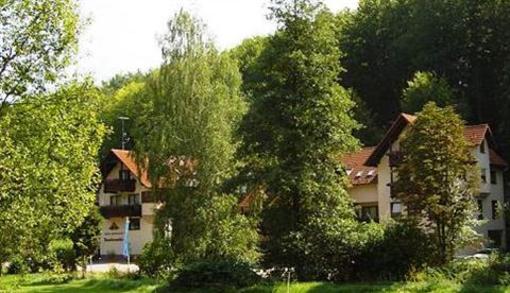 фото отеля Hotel Paradeismühle Klingenberg am Main