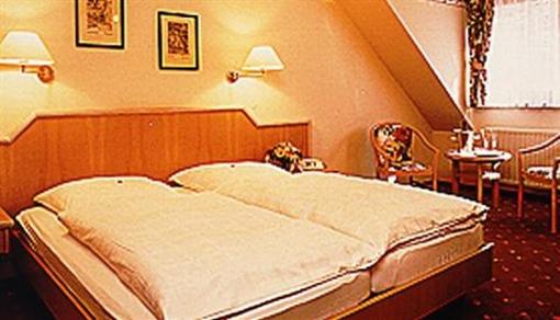 фото отеля Hotel Paradeismühle Klingenberg am Main