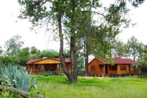 фото отеля Pine Tree Lodge