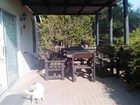 фото отеля Pine Tree Lodge