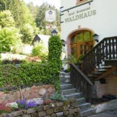 фото отеля Hotel Restaurant Waldhaus Mespelbrunn