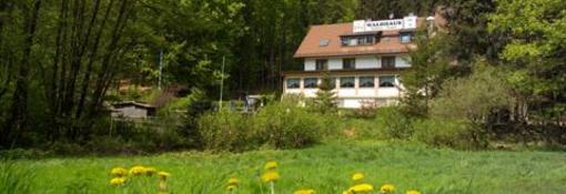 фото отеля Hotel Restaurant Waldhaus Mespelbrunn