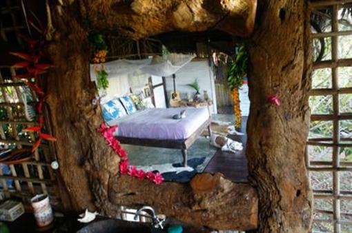фото отеля Art Jungle Eco Lodge
