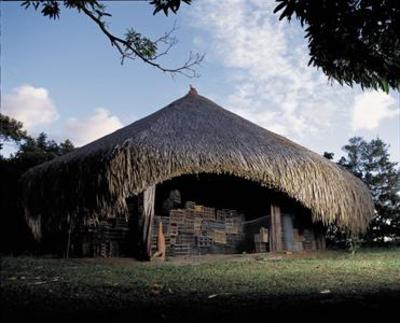фото отеля Art Jungle Eco Lodge