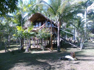 фото отеля Art Jungle Eco Lodge