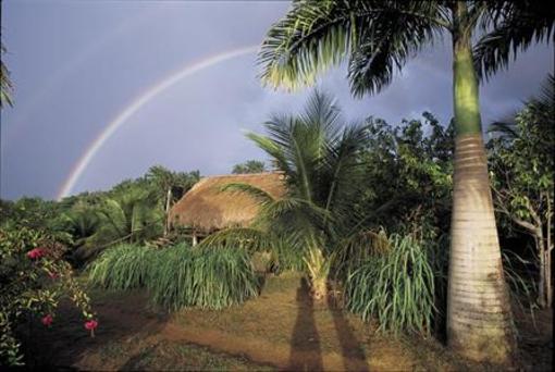 фото отеля Art Jungle Eco Lodge