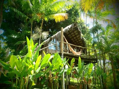 фото отеля Art Jungle Eco Lodge