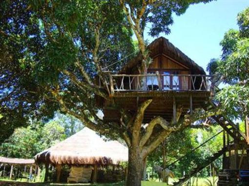 фото отеля Art Jungle Eco Lodge