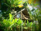 фото отеля Art Jungle Eco Lodge