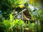 фото отеля Art Jungle Eco Lodge