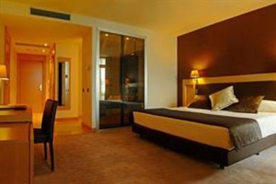 фото отеля Gran Palas Hotel