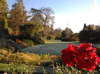 фото отеля Gliffaes Country House Hotel Crickhowell