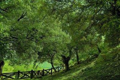 фото отеля Los Pastores