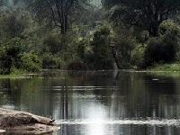 Nkambeni Tented Lodge Hazyview