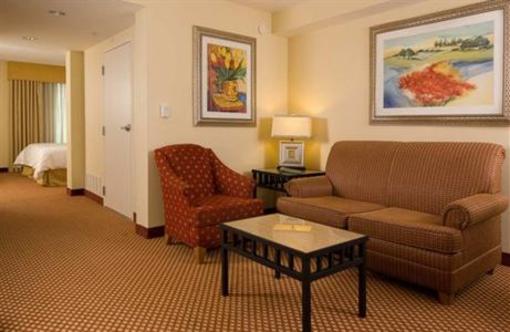 фото отеля Hilton Garden Inn Atlanta Airport/Millenium Center