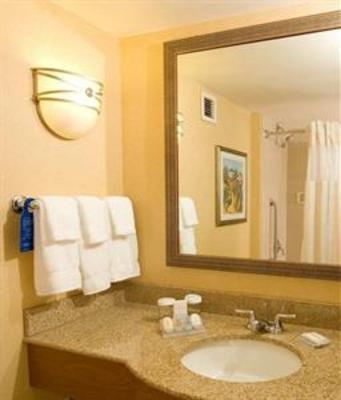 фото отеля Hilton Garden Inn Atlanta Airport/Millenium Center