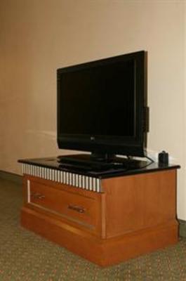 фото отеля Hilton Garden Inn Atlanta Airport/Millenium Center