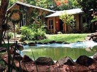 Gecko Backpackers