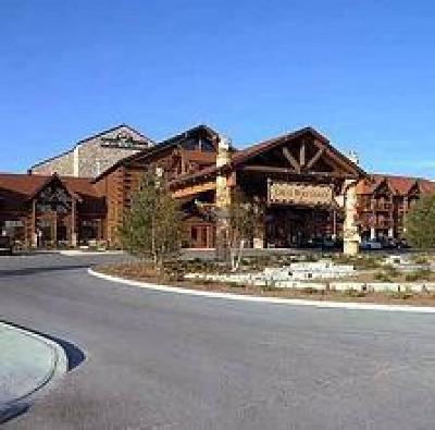 фото отеля Great Wolf Lodge Niagara Falls