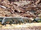 фото отеля Twyfelfontein Country Lodge Damaraland