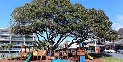 фото отеля Moffat Beach Motel