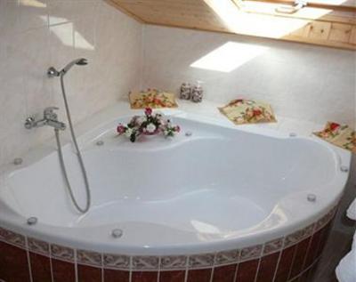 фото отеля Pension u Rechu