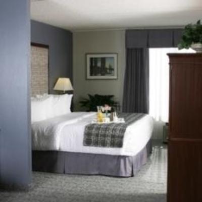 фото отеля Holiday Inn Hotel & Suites Carol Stream
