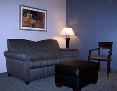 фото отеля Holiday Inn Hotel & Suites Carol Stream