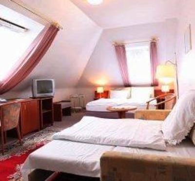 фото отеля Thesdorfer Hof
