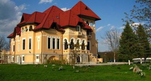 фото отеля Pension Casa Danielescu Targu Jiu