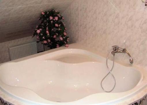 фото отеля Hotel Penzion Tramky