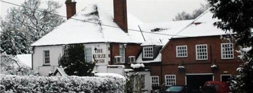 фото отеля The Furze Bush Inn Newbury