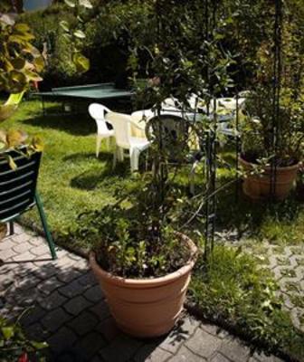 фото отеля Ihre Pension Trauner