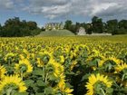 фото отеля Chateau De La Cote Hotel Brantome