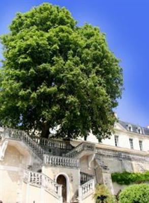 фото отеля Domaine Des Bidaudieres