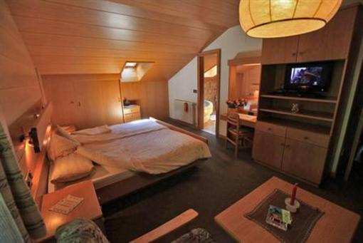 фото отеля Hotel Cesa Tyrol