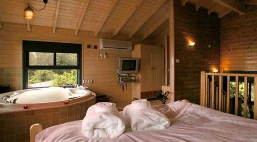 фото отеля Eretz Hgalil Hotel Amirim