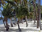 фото отеля Tambua Sands