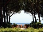 фото отеля Grand-Hotel du Cap-Ferrat