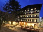 фото отеля Hotel Pinzolo Dolomiti