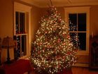 фото отеля Cranmore Inn
