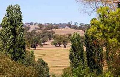фото отеля Alabaster Motel Cowra