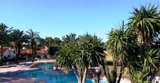 фото отеля El Palmar