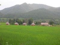 Yawning Fields Guesthouse