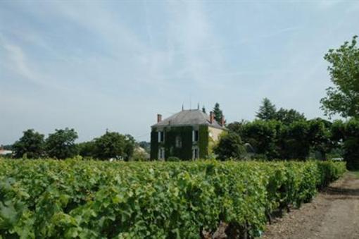 фото отеля Chateau Des Grandes Vignes