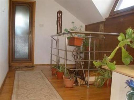 фото отеля Villa Dan