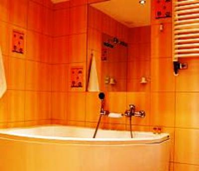 фото отеля Hotel Kinga Katowice