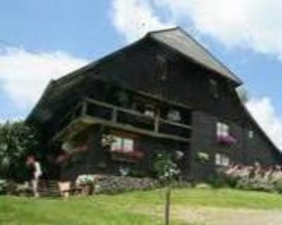 фото отеля Gasthaus Storchen Haslach