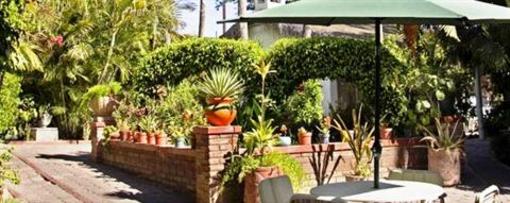 фото отеля Los Arcos Hotel La Paz (Mexico)