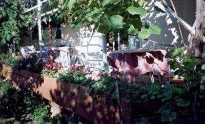 фото отеля Brant Bed & Breakfast